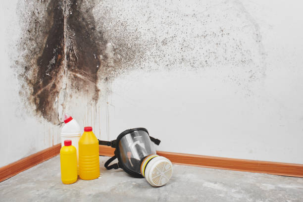 Best Crawl Space Mold Removal  in Sac City, IA