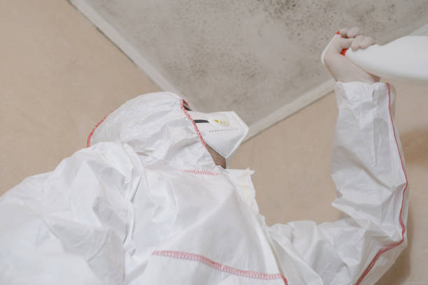 Best Commercial Mold Removal  in Sac City, IA