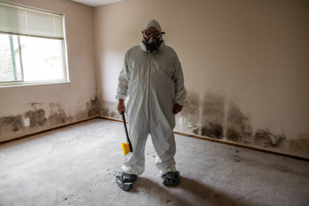Mold Removal Process in Sac City, IA